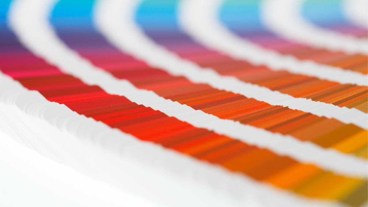 grafica e stampa palette colori